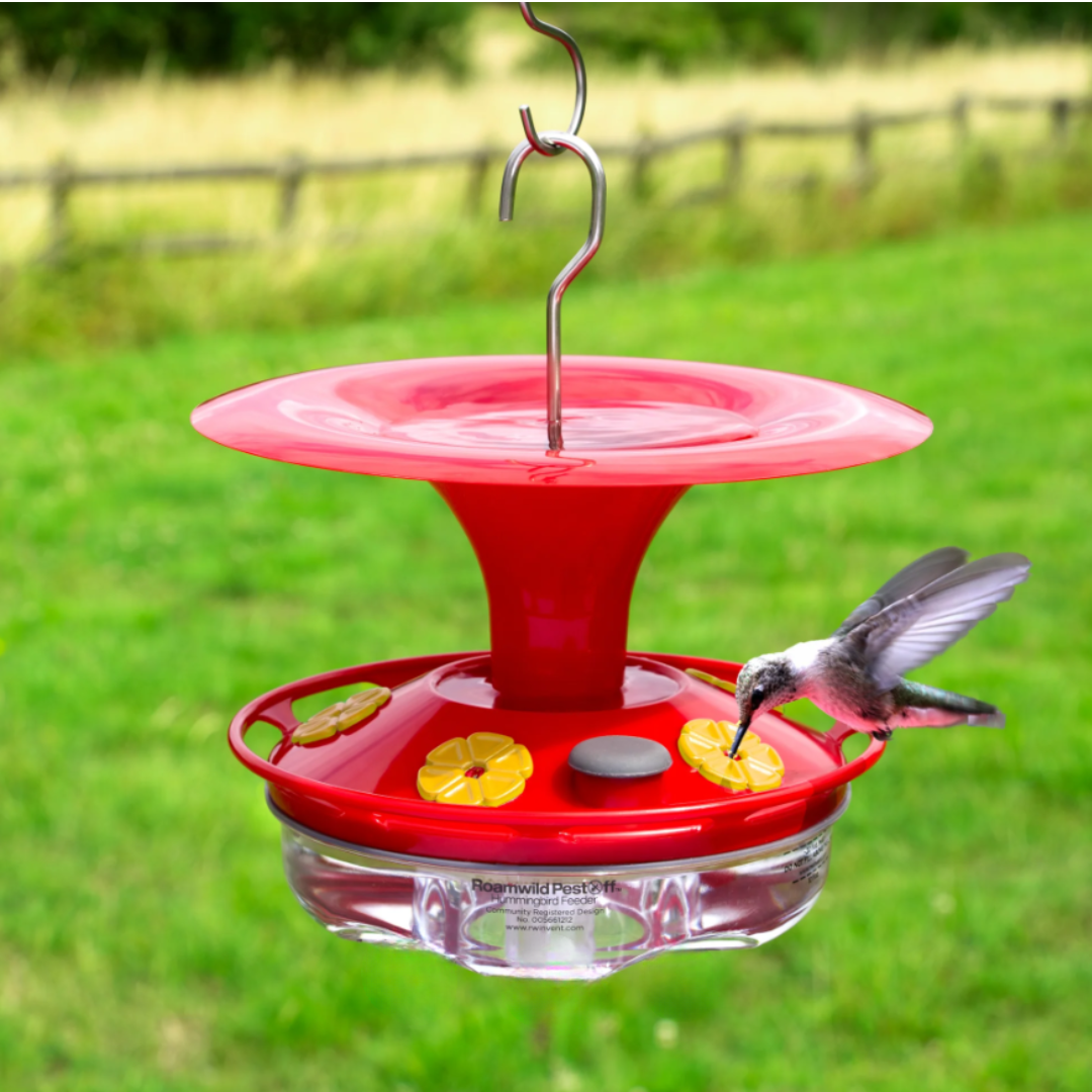 Mangeoire Transparente Multi-Port pour Colibris en Plein Air
