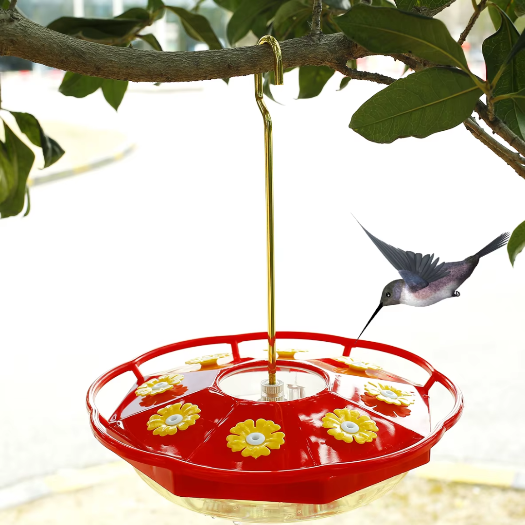 Mangeoire Transparente Multi-Port pour Colibris en Plein Air