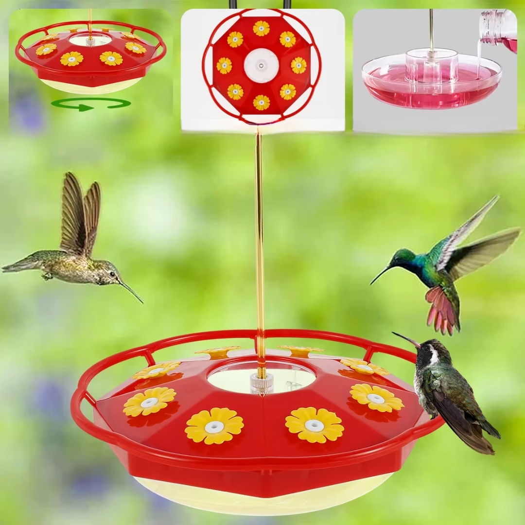 Mangeoire Transparente Multi-Port pour Colibris en Plein Air