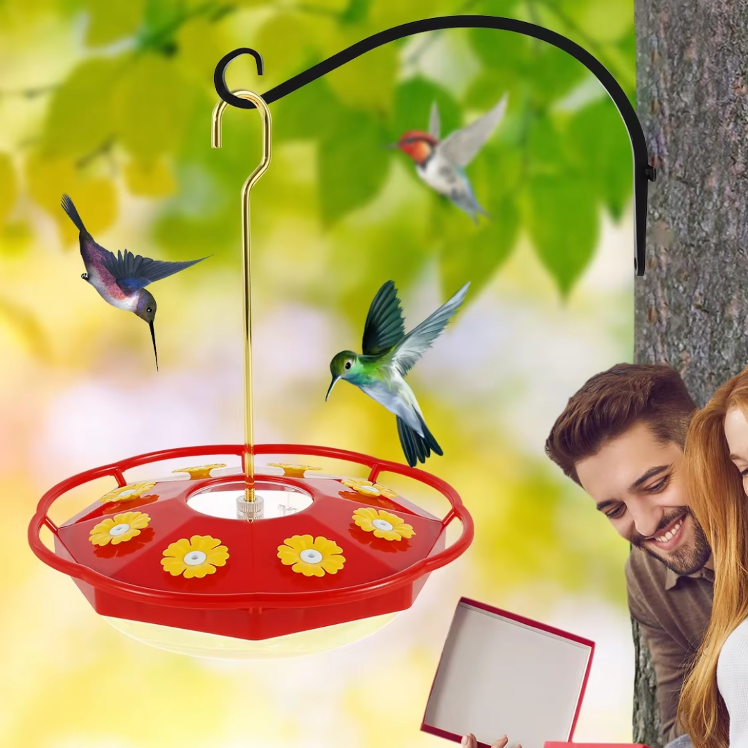 Mangeoire Transparente Multi-Port pour Colibris en Plein Air