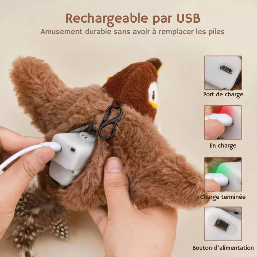 Oiseau Volant Chanteur pour Chat