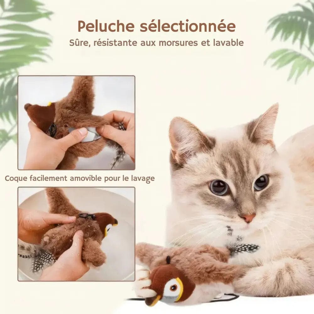 Oiseau Volant Chanteur pour Chat