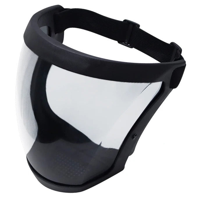 Masque de Protection Facial avec Filtre
