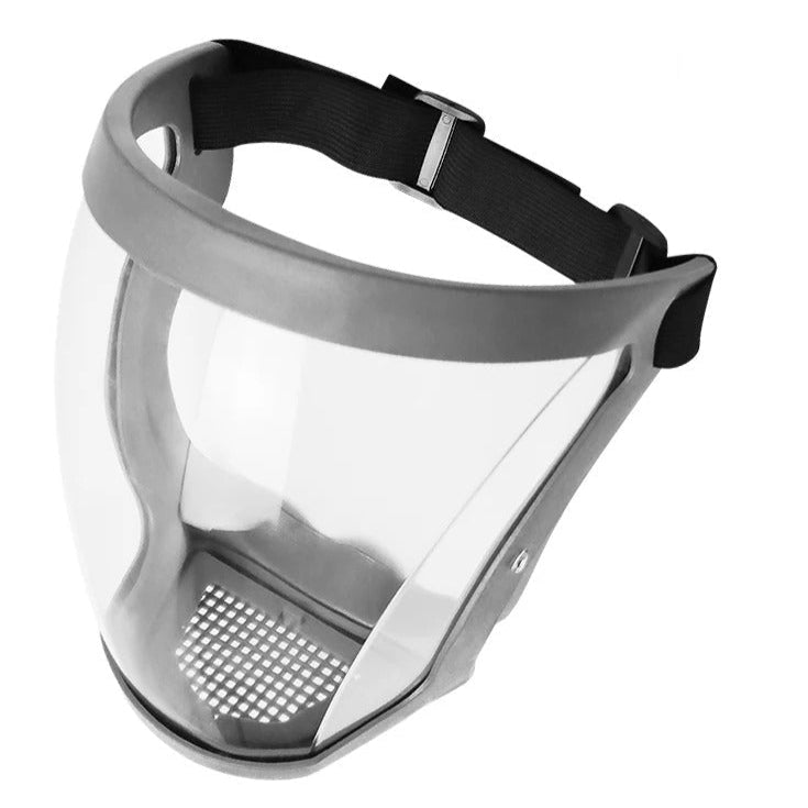 Masque de Protection Facial avec Filtre