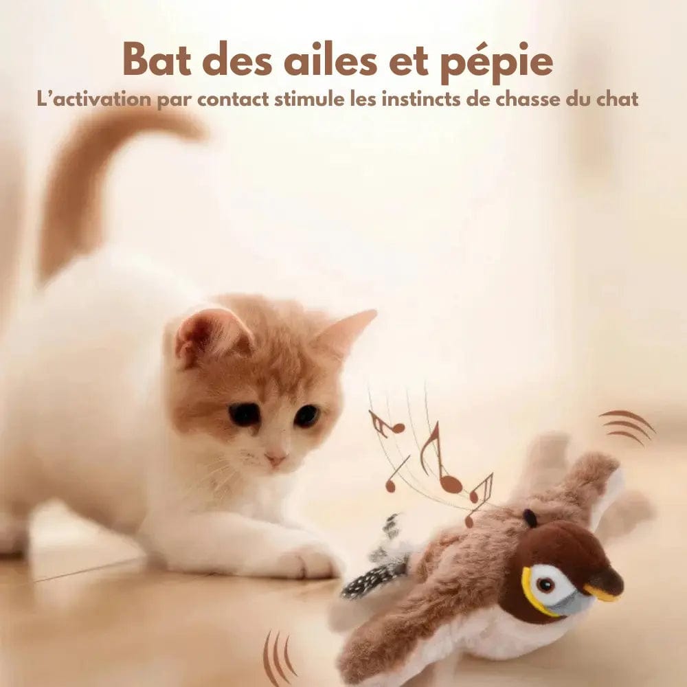 Oiseau Volant Chanteur pour Chat