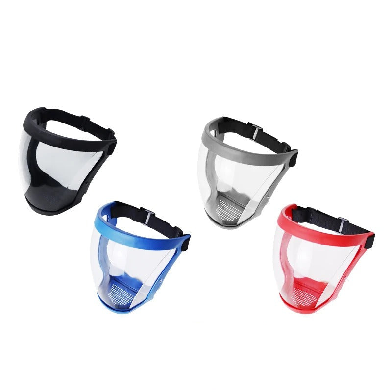 Masque de Protection Facial avec Filtre