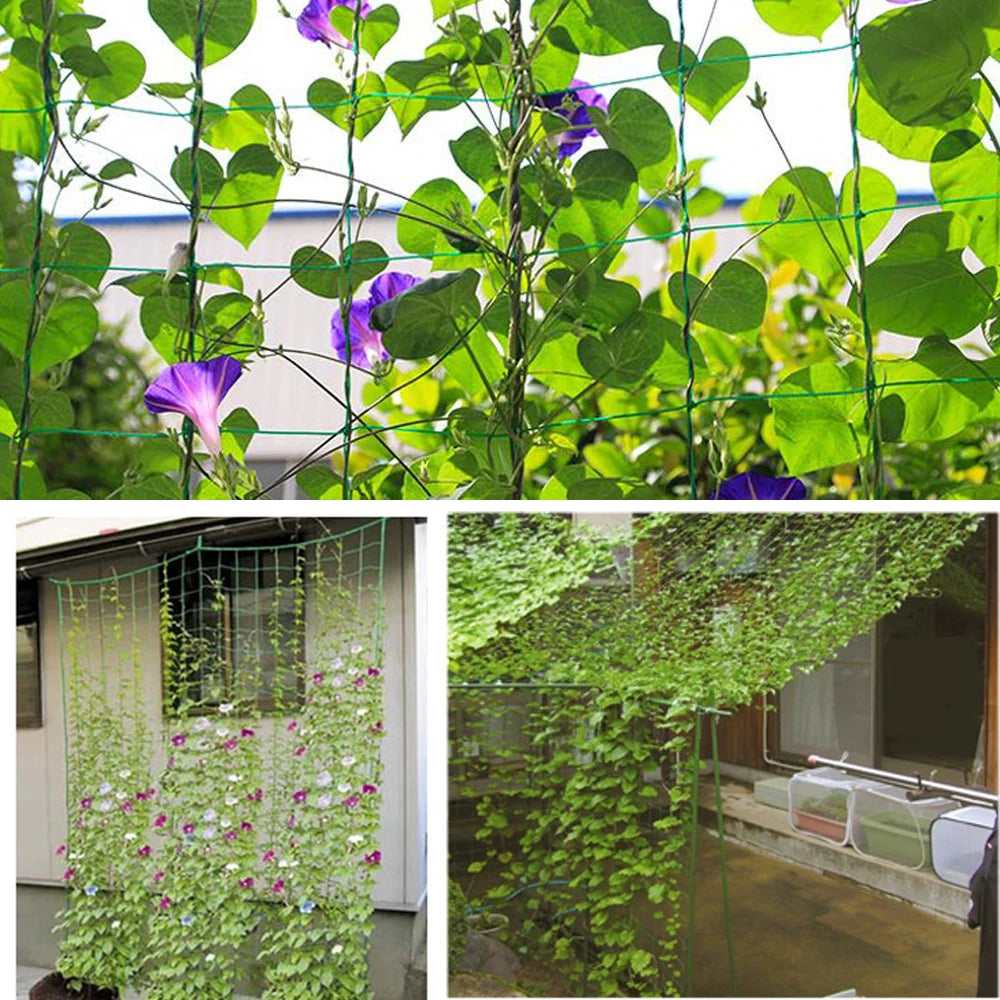 Filet d'escalade de jardin - Support robuste pour fleurs et légumes