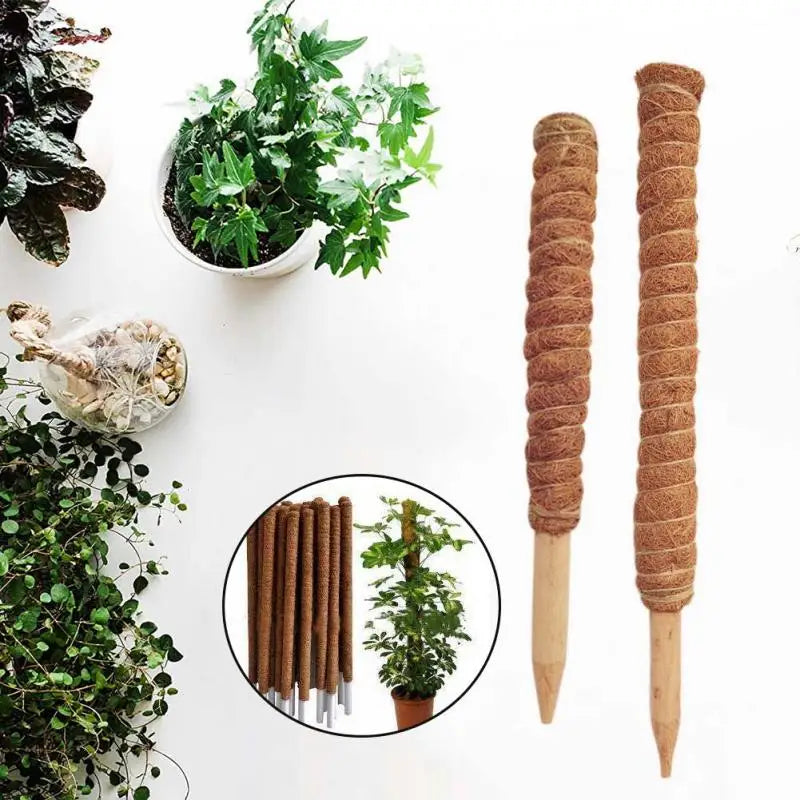 Poteau Totem en coco pour plantes grimpantes 30 à 50 cm support jardin