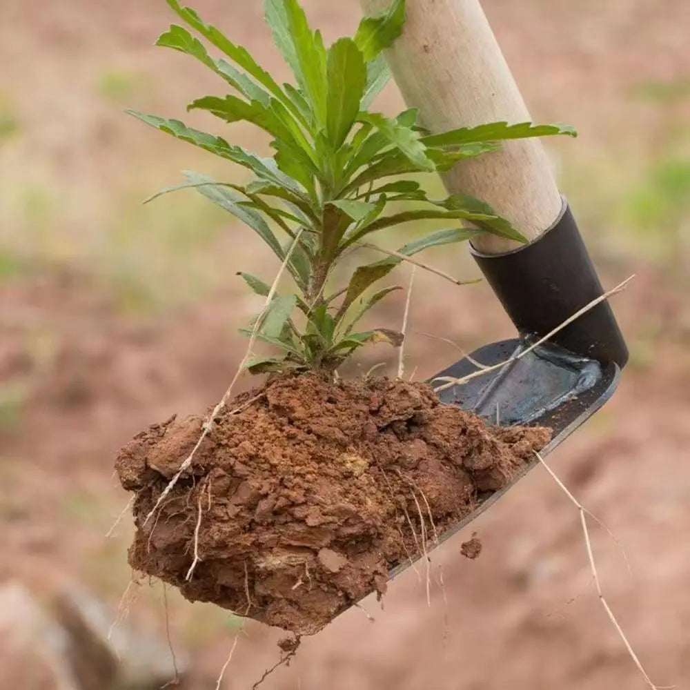 Pelle de jardin en acier durable épaissie - Outil de désherbage
