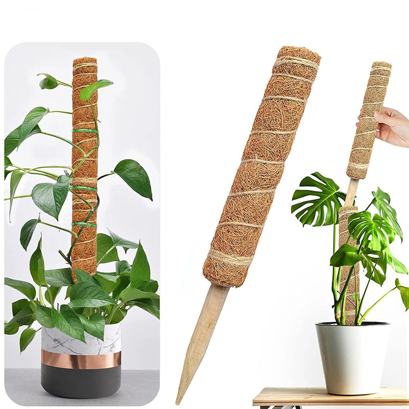 Poteau Totem en coco pour plantes grimpantes 30 à 50 cm support jardin