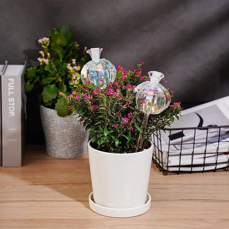 Ampoules en verre pour arrosage automatique de plantes d'intérieur