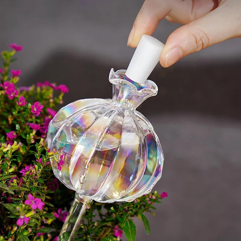 Ampoules en verre pour arrosage automatique de plantes d'intérieur