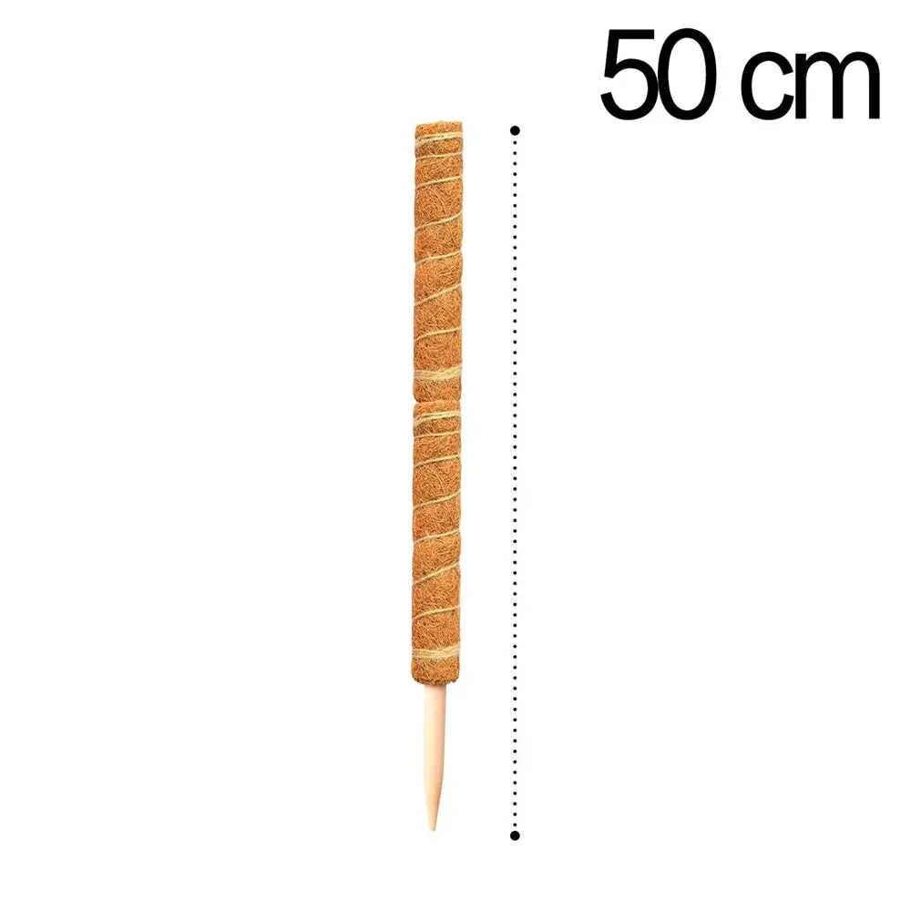 Poteau Totem en coco pour plantes grimpantes 30 à 50 cm support jardin