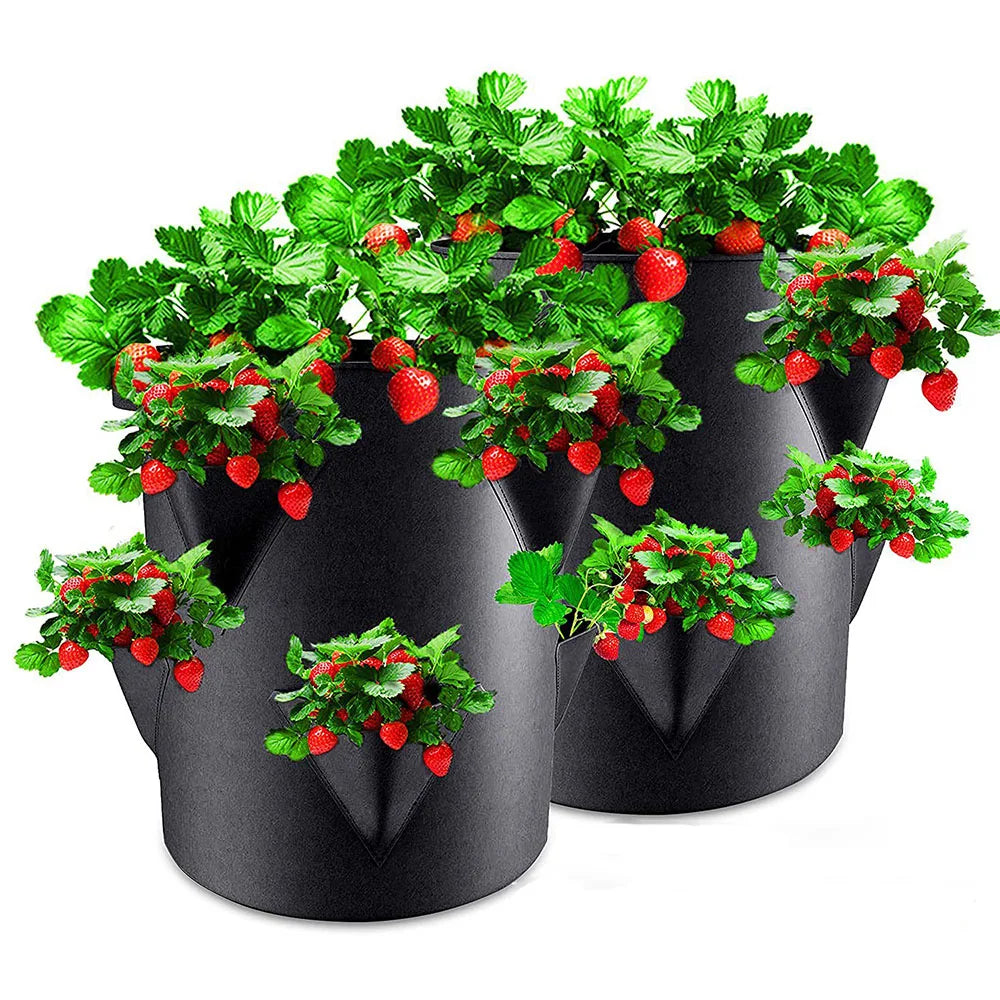 Sac de Culture Réspirable pour fraises tomates et fleurs