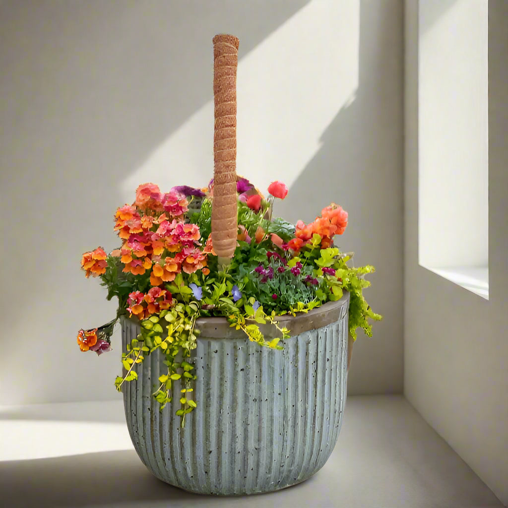 Poteau Totem en coco pour plantes grimpantes 30 à 50 cm support jardin