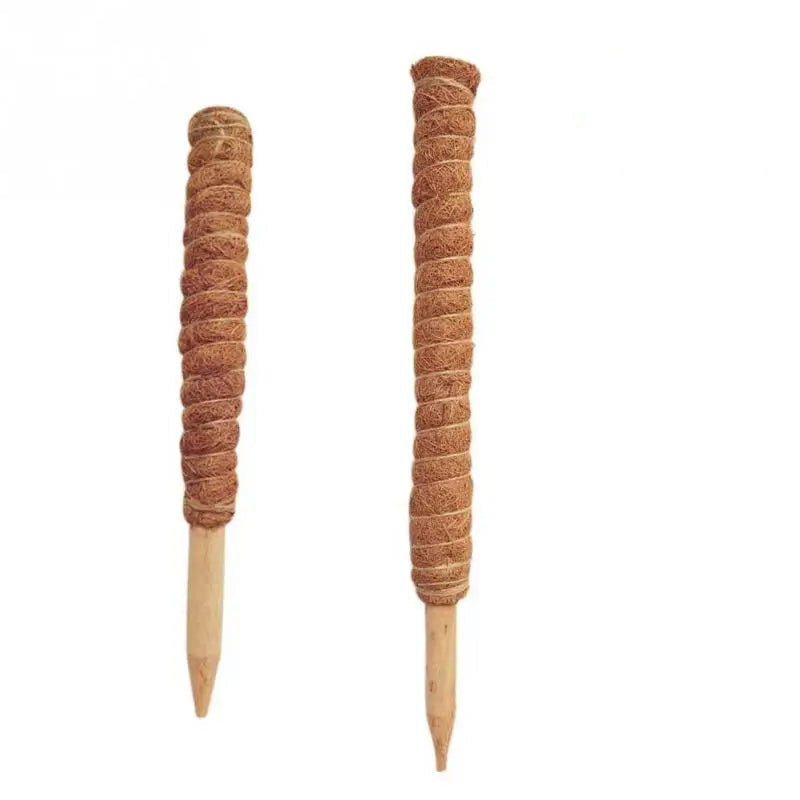 Poteau Totem en coco pour plantes grimpantes 30 à 50 cm support jardin
