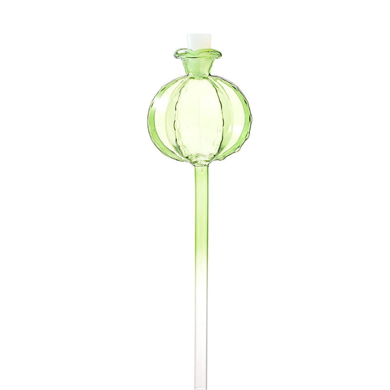 Ampoules en verre pour arrosage automatique de plantes d'intérieur