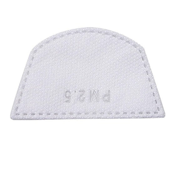 Masque de Protection Facial avec Filtre