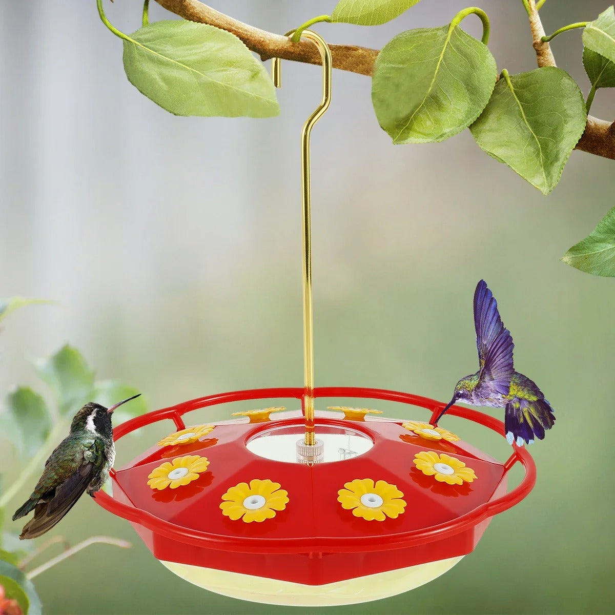 Mangeoire Transparente Multi-Port pour Colibris en Plein Air