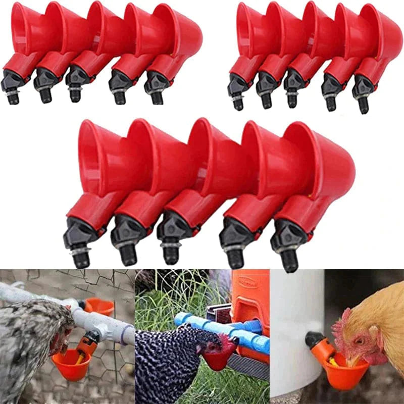 Abreuvoir Automatique pour Volailles Élevées
