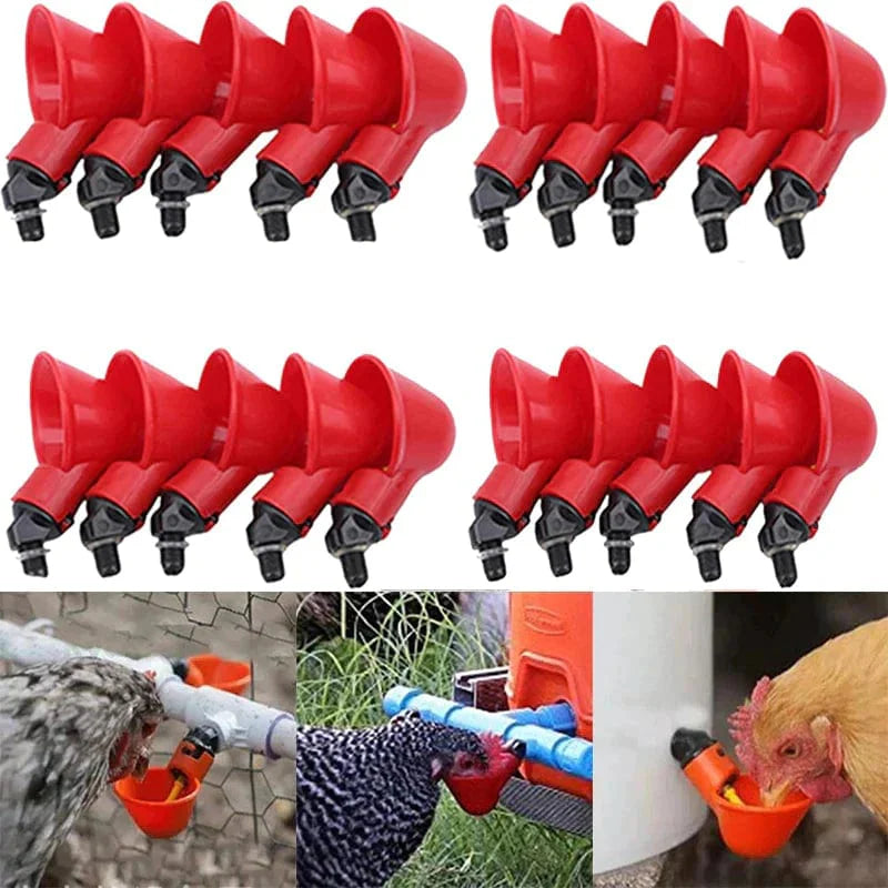Abreuvoir Automatique pour Volailles Élevées