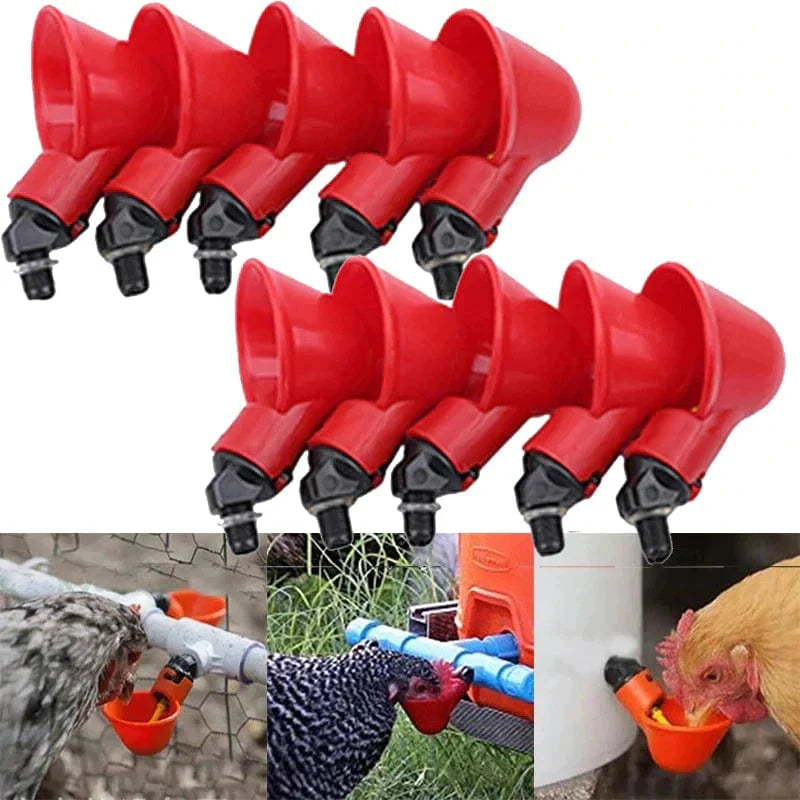 Abreuvoir Automatique pour Volailles Élevées