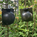 Boules d'enracinement de plantes - Default Title - Plumzi