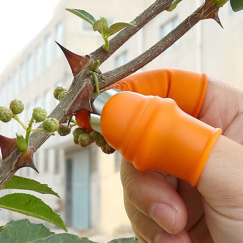 Coupe Pouce pour Récolte - Protection des doights