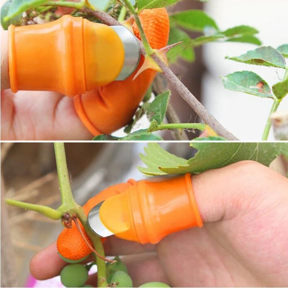 Coupe Pouce pour Récolte - Protection des doights
