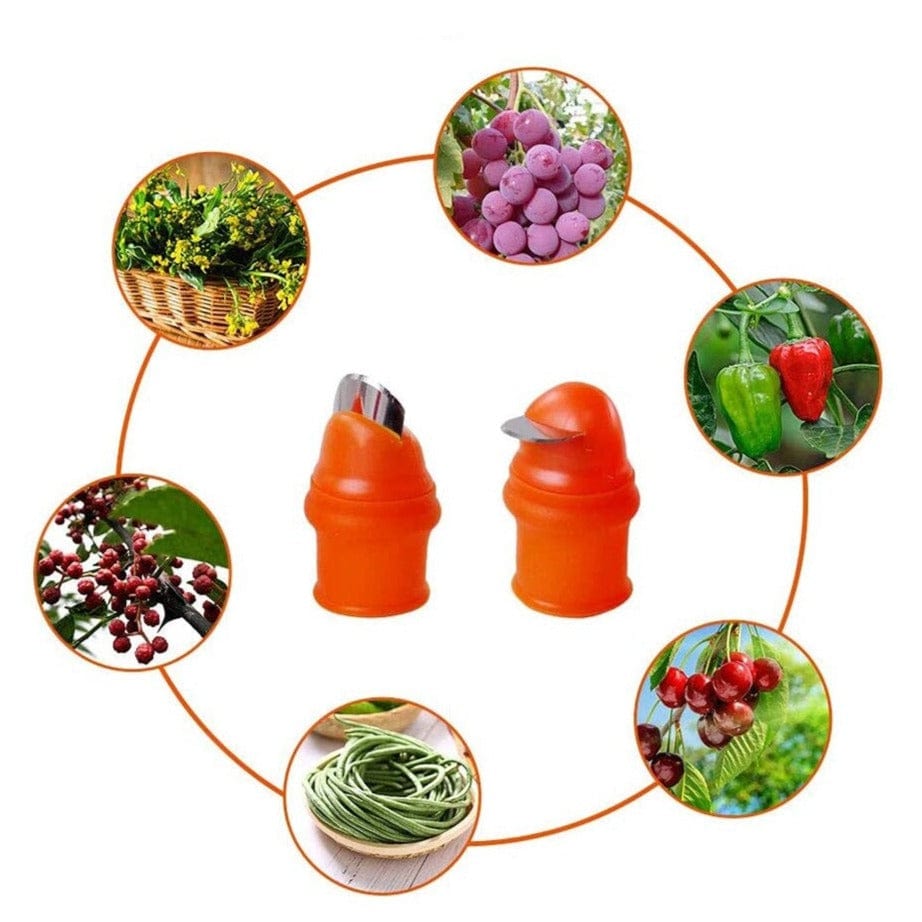 Coupe Pouce pour Récolte - Protection des doights