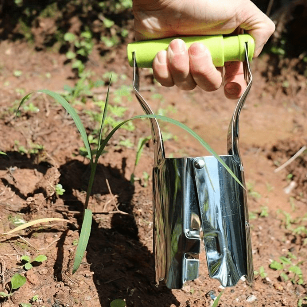 Transplanteur Manuel de Semis Pratique et Efficace