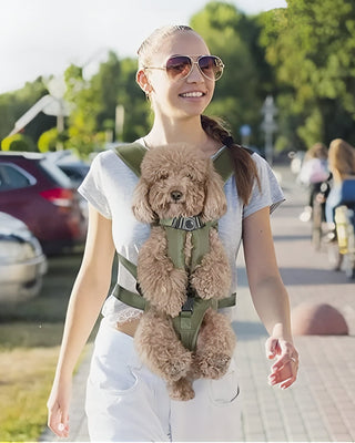 Transport pour animaux