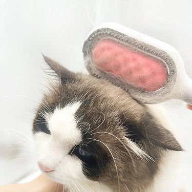 Brosse à poil pour animaux de compagnie avec réservoir d'eau - Vert - Plumzi