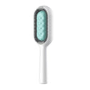 Brosse à poil pour animaux de compagnie avec réservoir d'eau - Vert - Plumzi