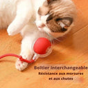 Balle roulante interactive pour chat - Gris - Balle avec corde - Plumzi