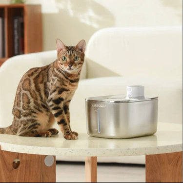 Fontaine à Eau Chat Sans Fil Acier Inoxydable Ultra Silencieuse 4000 mAh