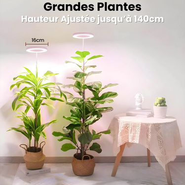 Lampe de Croissance LED d'Intérieur - 2+1 Offerte pour Plantes - 3 Grandes (max 140cm) - Plumzi