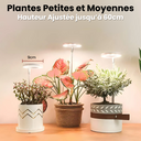 Lampe de Croissance LED d'Intérieur - 2+1 Offerte pour Plantes - 3 Moyennes (max 60cm) - Plumzi