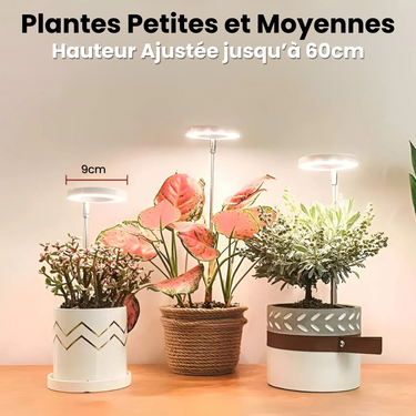 Lampe de Croissance LED d'Intérieur - 2+1 Offerte pour Plantes - 3 Moyennes (max 60cm) - Plumzi
