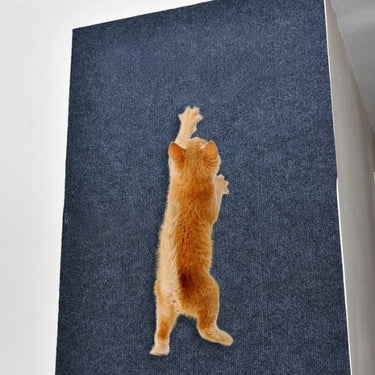 Mur Auto-Adhésif Anti-Rayures pour Canapé - Noir / 30x30CM - Plumzi