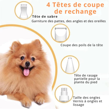 Kit de Tondeuse pour Chiens avec Faible Bruit - Default Title - Plumzi