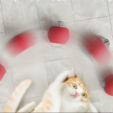 Balle roulante interactive pour chat - Gris - Balle avec corde - Plumzi