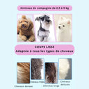 Kit de Ciseaux de Toilettage Professionnels pour Animaux – Acier Inoxydable de Haute Précision - Vert - Plumzi