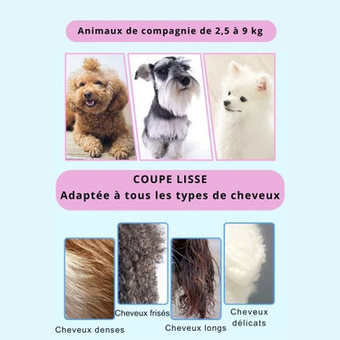 Kit de Ciseaux de Toilettage Professionnels pour Animaux – Acier Inoxydable de Haute Précision - Vert - Plumzi