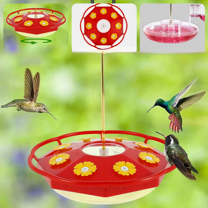 Mangeoire Transparente Multi-Port pour Colibris en Plein Air