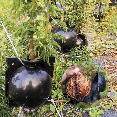 Boules d'enracinement de plantes - Default Title - Plumzi