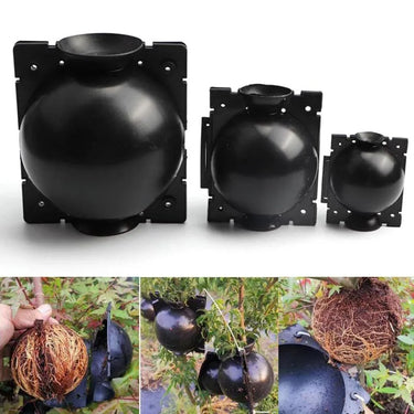 Boules d'enracinement de plantes - Default Title - Plumzi