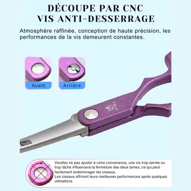 Kit de Ciseaux de Toilettage Professionnels pour Animaux – Acier Inoxydable de Haute Précision - Vert - Plumzi