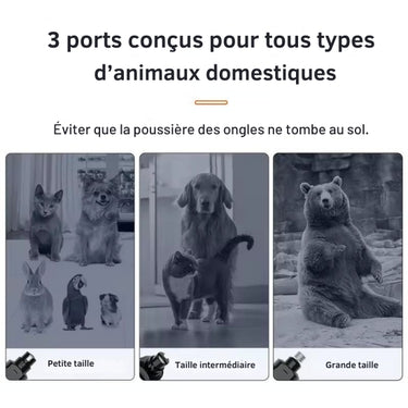 Meuleuse à Ongles Rechargeable pour Animaux - Default Title - Plumzi
