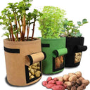 3 Sacs de Plantation et de Culture pour Potager - 10 Gallons - 38L - Vert - Plumzi